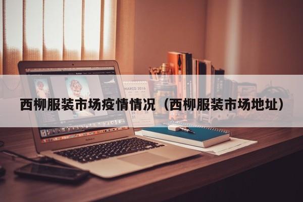 西柳服装市场疫情情况（西柳服装市场地址）
