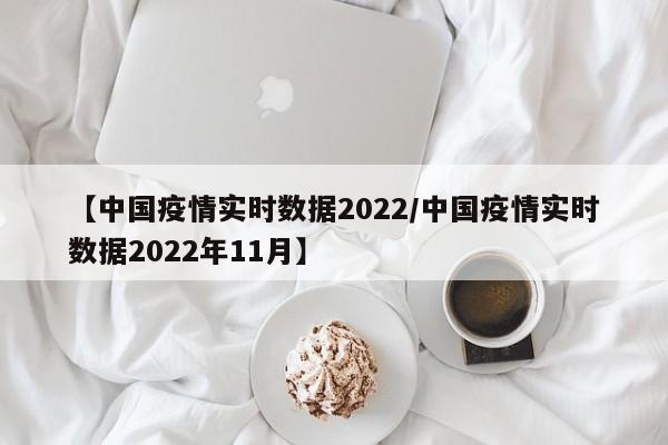【中国疫情实时数据2022/中国疫情实时数据2022年11月】